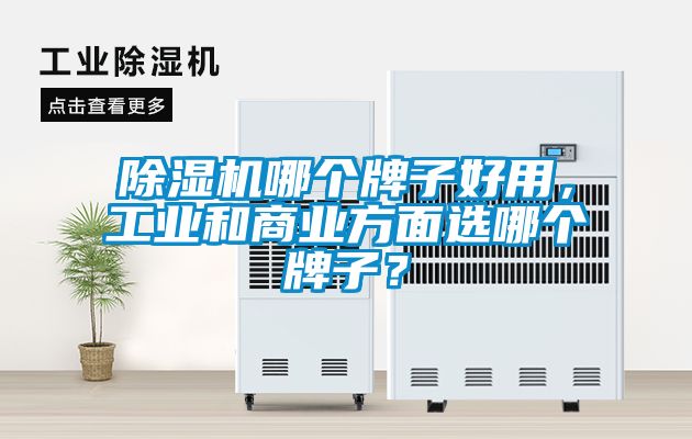 除濕機(jī)哪個(gè)牌子好用，工業(yè)和商業(yè)方面選哪個(gè)牌子？