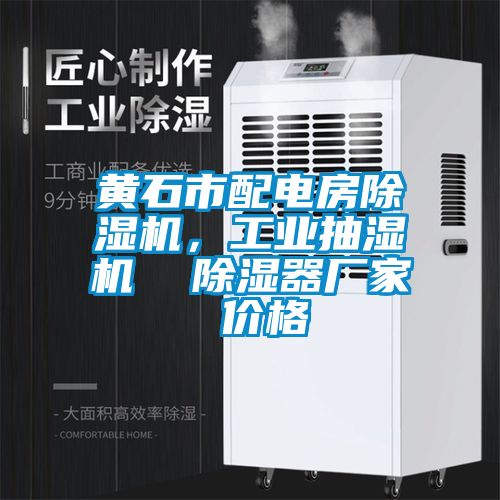 黃石市配電房除濕機(jī)，工業(yè)抽濕機(jī)  除濕器廠家 價(jià)格