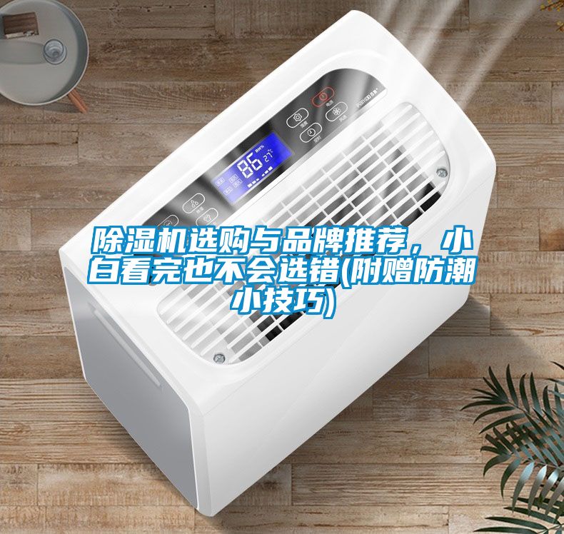 除濕機(jī)選購(gòu)與品牌推薦，小白看完也不會(huì)選錯(cuò)(附贈(zèng)防潮小技巧)