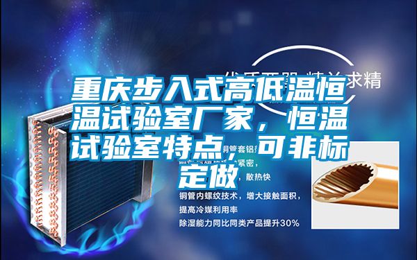 重慶步入式高低溫恒溫試驗(yàn)室廠家，恒溫試驗(yàn)室特點(diǎn)，可非標(biāo)定做