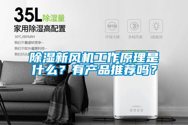 除濕新風機工作原理是什么？有產(chǎn)品推薦嗎？
