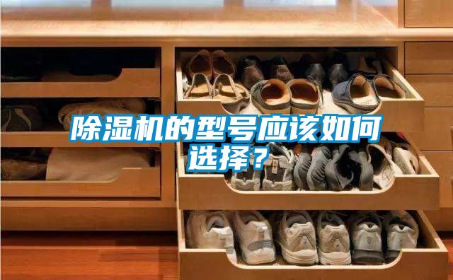 除濕機的型號應(yīng)該如何選擇？