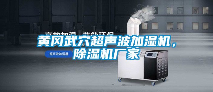 黃岡武穴超聲波加濕機(jī)，除濕機(jī)廠家