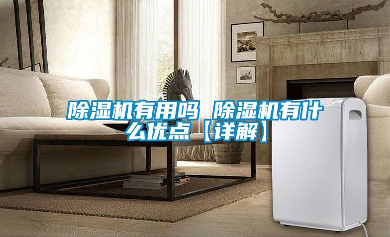 除濕機有用嗎 除濕機有什么優(yōu)點【詳解】