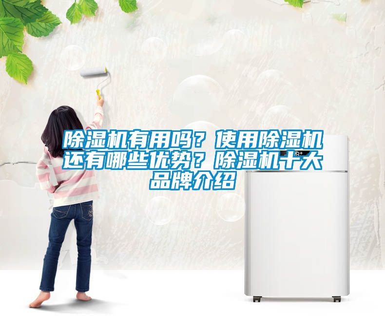除濕機(jī)有用嗎？使用除濕機(jī)還有哪些優(yōu)勢(shì)？除濕機(jī)十大品牌介紹