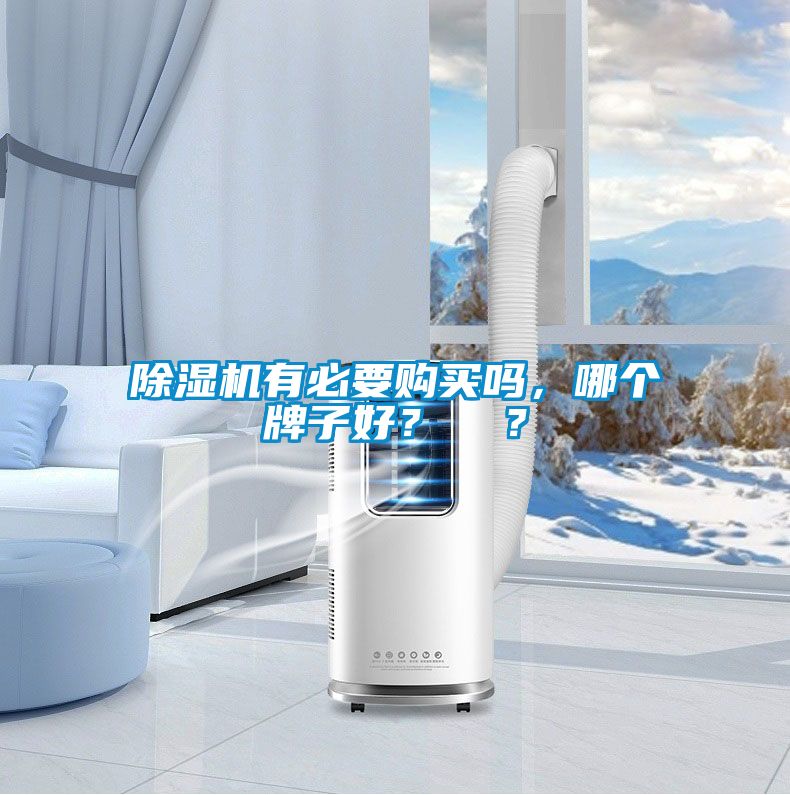 除濕機有必要購買嗎，哪個牌子好？  ？