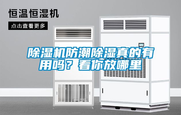 除濕機(jī)防潮除濕真的有用嗎？看你放哪里
