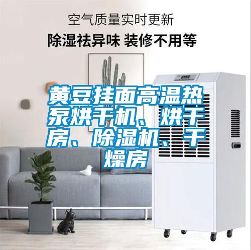黃豆掛面高溫?zé)岜煤娓蓹C(jī)、烘干房、除濕機(jī)、干燥房