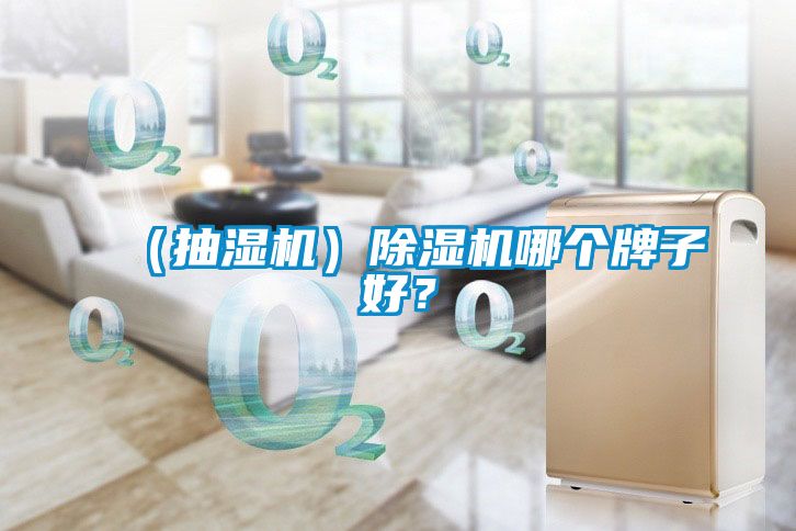（抽濕機(jī)）除濕機(jī)哪個牌子好？