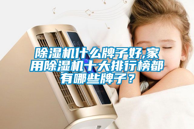 除濕機什么牌子好,家用除濕機十大排行榜都有哪些牌子？