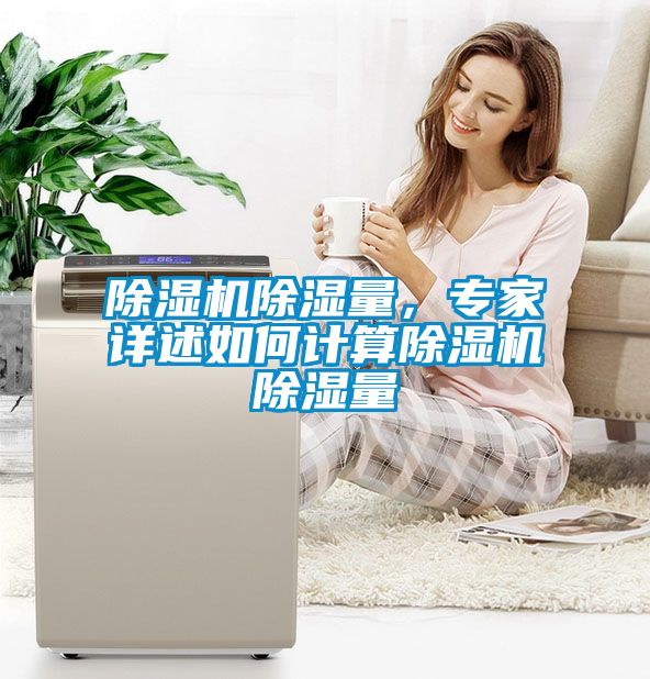 除濕機除濕量，專家詳述如何計算除濕機除濕量