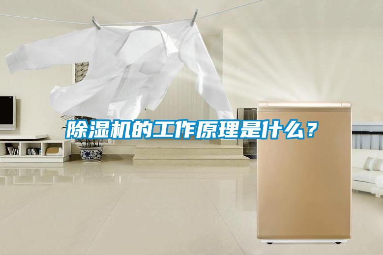 除濕機(jī)的工作原理是什么？