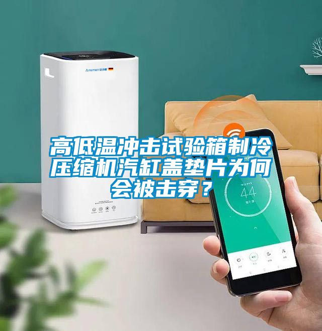 高低溫沖擊試驗箱制冷壓縮機汽缸蓋墊片為何會被擊穿？