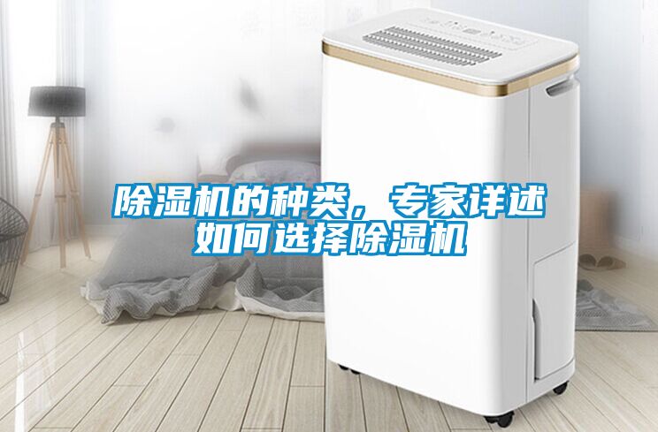 除濕機的種類，專家詳述如何選擇除濕機