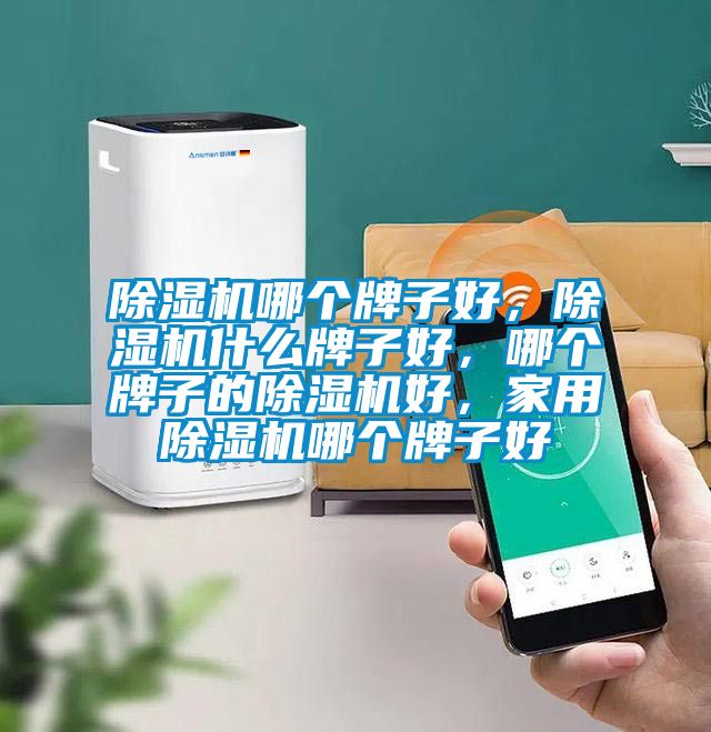 除濕機(jī)哪個(gè)牌子好，除濕機(jī)什么牌子好，哪個(gè)牌子的除濕機(jī)好，家用除濕機(jī)哪個(gè)牌子好