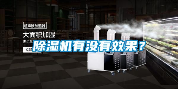除濕機有沒有效果？