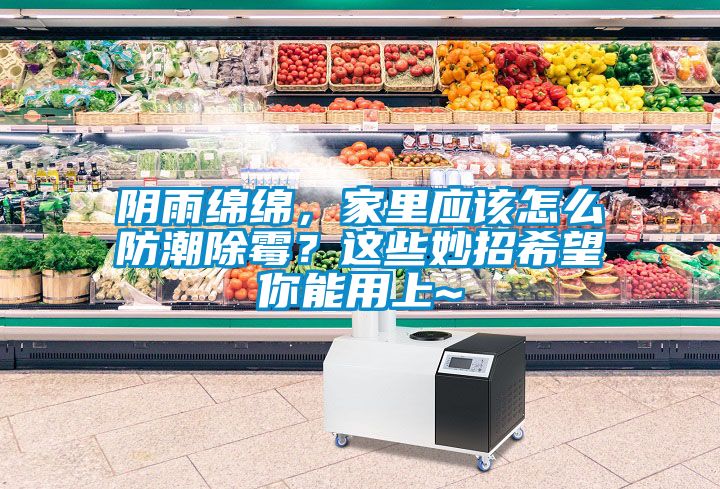 陰雨綿綿，家里應(yīng)該怎么防潮除霉？這些妙招希望你能用上~