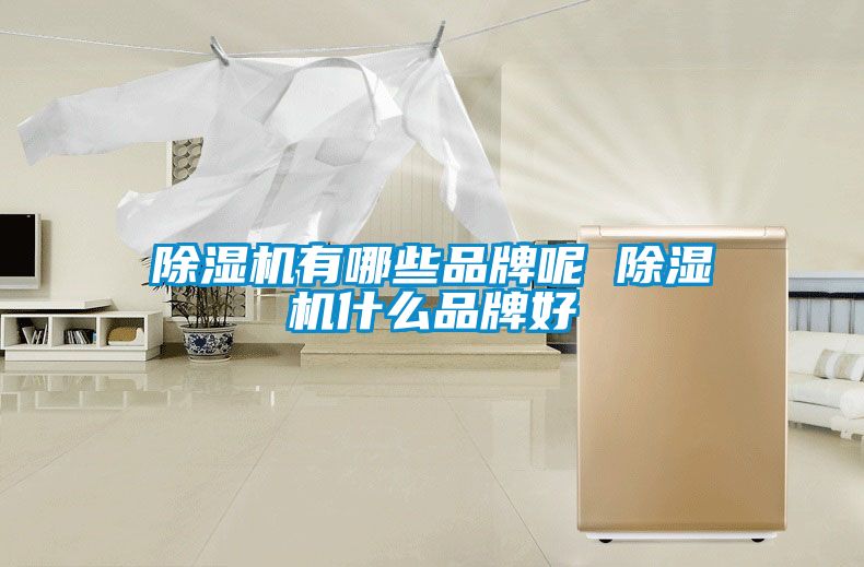 除濕機(jī)有哪些品牌呢 除濕機(jī)什么品牌好