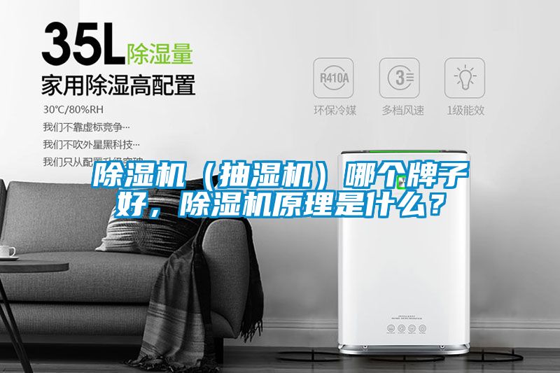 除濕機（抽濕機）哪個牌子好，除濕機原理是什么？
