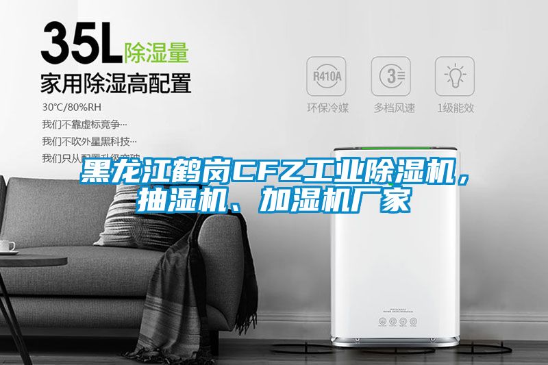黑龍江鶴崗CFZ工業(yè)除濕機(jī)，抽濕機(jī)、加濕機(jī)廠家