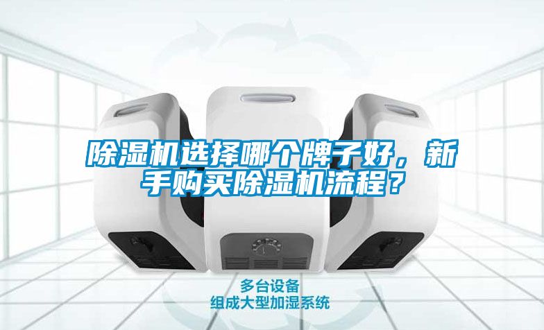 除濕機(jī)選擇哪個(gè)牌子好，新手購(gòu)買(mǎi)除濕機(jī)流程？