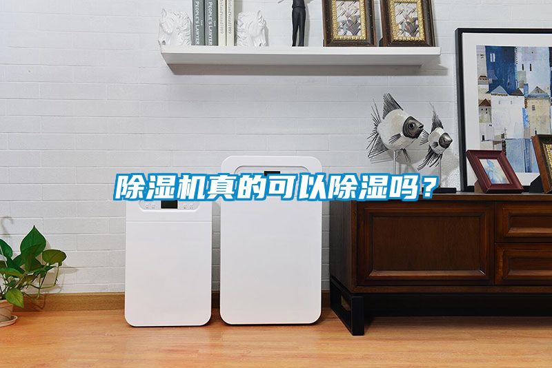 除濕機(jī)真的可以除濕嗎？