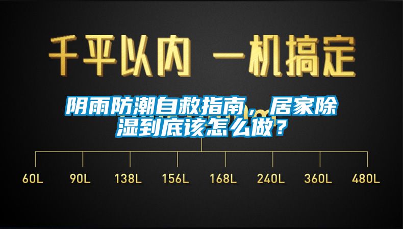 陰雨防潮自救指南，居家除濕到底該怎么做？