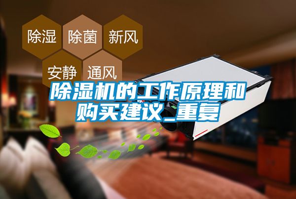 除濕機(jī)的工作原理和購(gòu)買建議_重復(fù)