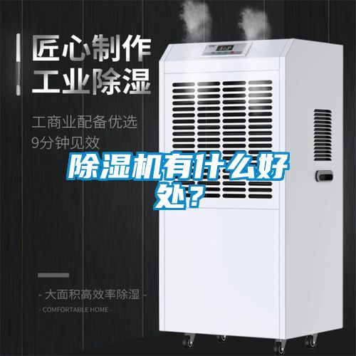 除濕機(jī)有什么好處？
