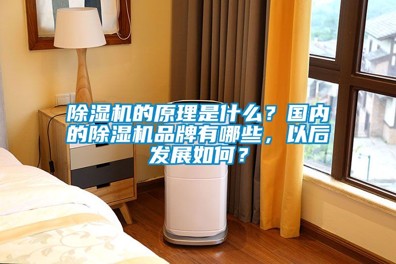除濕機的原理是什么？國內(nèi)的除濕機品牌有哪些，以后發(fā)展如何？