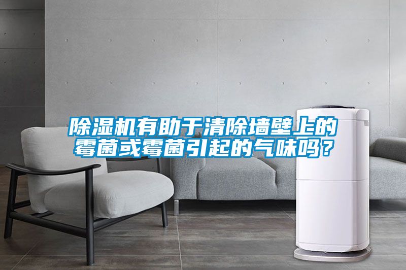 除濕機有助于清除墻壁上的霉菌或霉菌引起的氣味嗎？