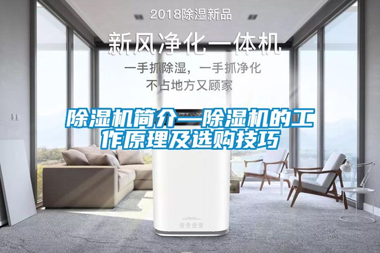 除濕機(jī)簡(jiǎn)介—除濕機(jī)的工作原理及選購技巧