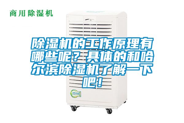 除濕機的工作原理有哪些呢？具體的和哈爾濱除濕機了解一下吧！