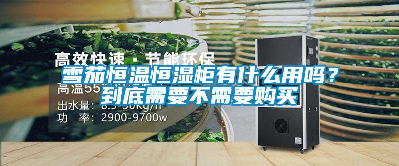 雪茄恒溫恒濕柜有什么用嗎？到底需要不需要購(gòu)買