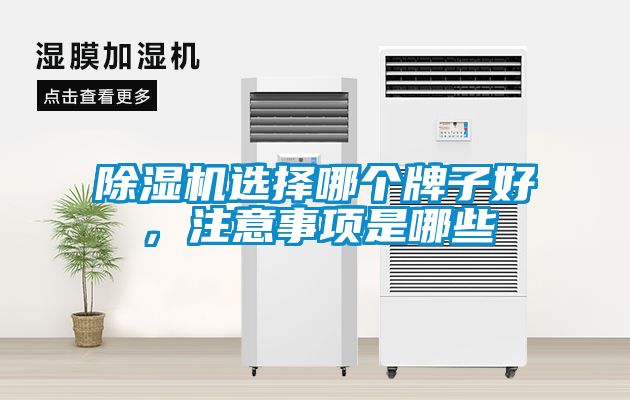 除濕機(jī)選擇哪個(gè)牌子好，注意事項(xiàng)是哪些