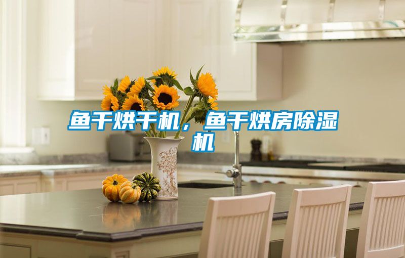 魚干烘干機，魚干烘房除濕機