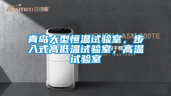青島大型恒溫試驗(yàn)室，步入式高低溫試驗(yàn)室，高溫試驗(yàn)室