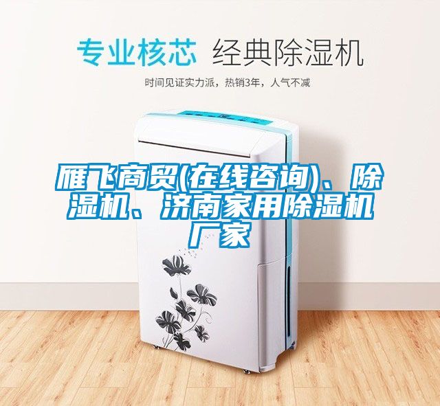 雁飛商貿(mào)(在線咨詢)、除濕機、濟南家用除濕機廠家