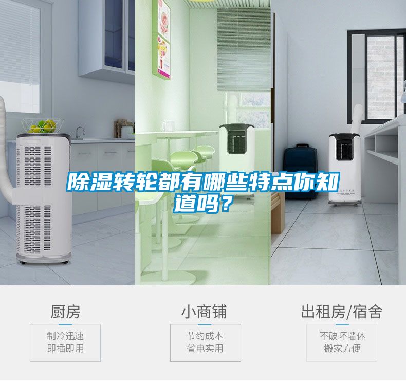 除濕轉(zhuǎn)輪都有哪些特點你知道嗎？