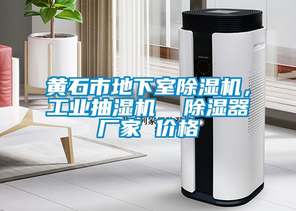 黃石市地下室除濕機(jī)，工業(yè)抽濕機(jī)  除濕器廠家 價格