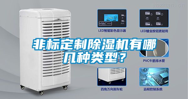 非標(biāo)定制除濕機(jī)有哪幾種類(lèi)型？