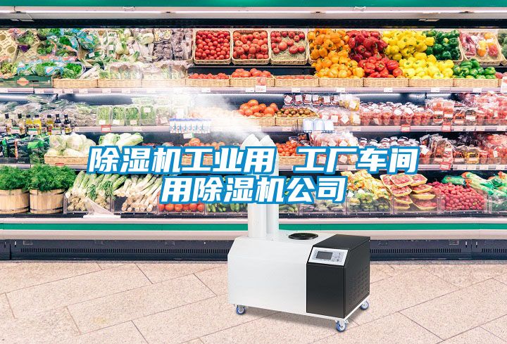 除濕機工業(yè)用 工廠車間用除濕機公司