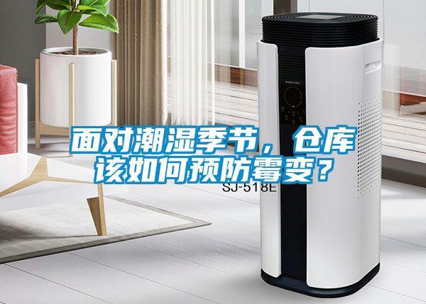 面對(duì)潮濕季節(jié)，倉(cāng)庫(kù)該如何預(yù)防霉變？