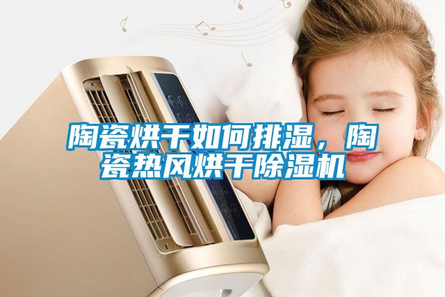 陶瓷烘干如何排濕，陶瓷熱風烘干除濕機