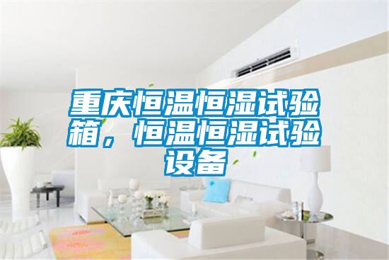 重慶恒溫恒濕試驗(yàn)箱，恒溫恒濕試驗(yàn)設(shè)備
