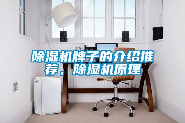 除濕機牌子的介紹推薦，除濕機原理