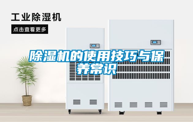 除濕機(jī)的使用技巧與保養(yǎng)常識(shí)