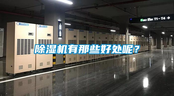 除濕機有那些好處呢？
