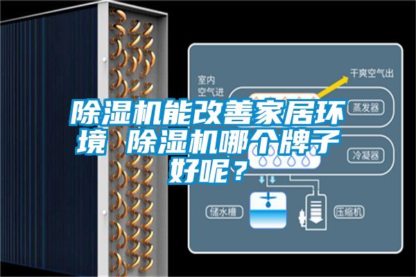 除濕機(jī)能改善家居環(huán)境 除濕機(jī)哪個(gè)牌子好呢？