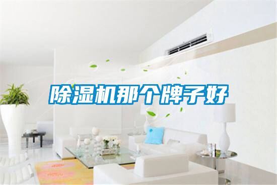 除濕機(jī)那個牌子好